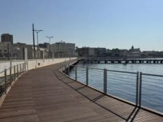 Cagliari, misteriosa moria di pesci a Su Siccu: “È un fenomeno periodico”