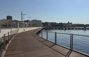 Cagliari, misteriosa moria di pesci a Su Siccu: “È un fenomeno periodico”