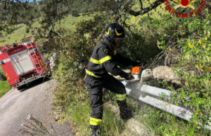 Alberi caduti e allagamenti: disagi per la pioggia a Nuoro