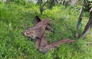 Cagliari, vandalizzato il “Minotauro” dell’artista Bruno Meloni