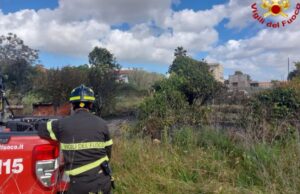Paura a Riola Sardo, fuoco alle sterpaglie coinvolge anche un’auto