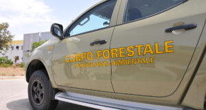 Capoterra, titolare di impresa edile sorpreso a bruciare rifiuti: denunciato