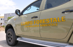 Oltre 1500 controlli e 200 sanzioni: il bilancio estivo del Corpo Forestale sardo