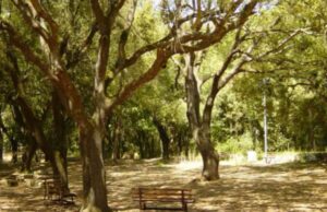 Sardegna mozzafiato vista dal drone: isola completamente verde