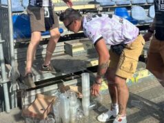 Cagliari-Udinese, i tifosi friulani ripuliscono il settore ospiti: “Rispetto”