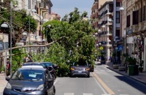 Tragedia sfiorata a Cagliari, grosso albero cade sulle auto in via Paoli