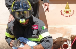 Iglesias, salvato un gattino: era intrappolato in un tubo