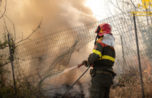 Riparte la stagione dei piromani in Sardegna: 10 incendi nell’isola