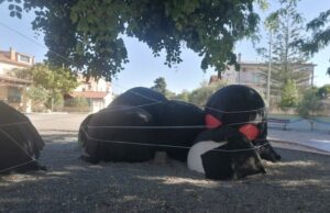 Protesta creativa a San Sperate: impacchettate opere di Pinuccio Sciola