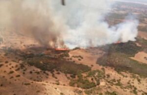 Inizia l’allarme incendi in Sardegna: oggi 13 richieste d’intervento