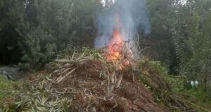 Cagliari, allerta alta per il rischio incendi: il bollettino della Protezione Civile