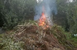 Cagliari, allerta alta per il rischio incendi: il bollettino della Protezione Civile