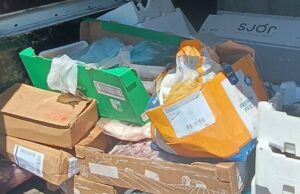 Oristano, camion di pesce non a norma: fermato per due giorni di fila