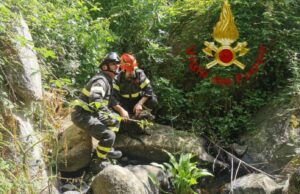 Arzachena, cane intrappolato in un ruscello: salvato dai Vigili del fuoco