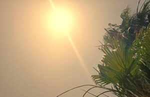 Sardegna nella morsa del caldo africano, temperature fino a 42 gradi