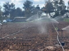 Agricoltura in crisi, pagamenti Pac bloccati | Csa: “Pronti alla protesta”