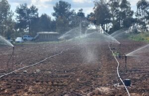 Crisi idrica Sardegna, stato di emergenza prolungato fino a fine 2025