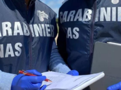 Cagliari, controlli Nas al Festival: pioggia di sanzioni per alimenti non abbattuti