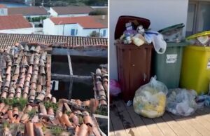 Asinara, Consorzio Operatori Turistici lancia l’allarme: “Situazione grave”