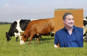 Dermatite Nodulare, Maieli (FI): “Regione chiarisca, subito gli aiuti economici”