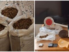 Sanluri, quasi 9 chili di marijuana tra l’ovile e la cucina: arrestato