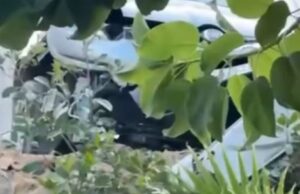 Paura ad Alghero: auto sfonda un muro e travolge tavoli e sedie di un bar