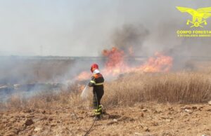 Allarme incendi in Sardegna, denunciate 9 persone responsabili
