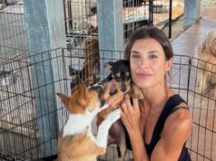 Elisabetta Canalis visita il canile di Olbia: “Adottate, esperienza meravigliosa”