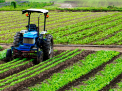 Dazi USA, Confagricoltura: “Regione intervenga, a rischio il made in Sardegna”