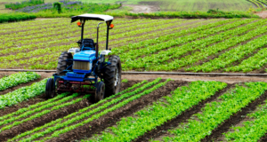 Dazi USA, Confagricoltura: “Regione intervenga, a rischio il made in Sardegna”