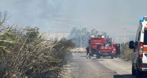 Sardegna, le fiamme non si fermano: devastante incendio sulla 387