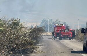Sardegna, le fiamme non si fermano: devastante incendio sulla 387