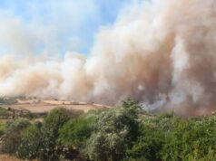 Terrore a Villanovafranca, enorme incendio nelle campagne: allevatori disperati