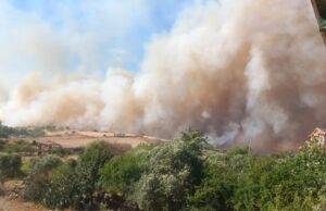 Terrore a Villanovafranca, enorme incendio nelle campagne: allevatori disperati