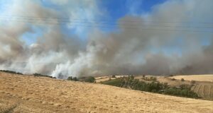 Sardegna, 12 milioni per 185 Comuni fragili: serviranno per la cura dell’ambiente