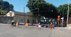 Cagliari, manutenzione alberi in viale Merello: modifiche al traffico