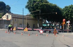 Cagliari, manutenzione alberi in viale Merello: modifiche al traffico