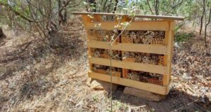 Alghero, arriva il primo “Hotel” per le api in Italia