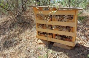 Alghero, arriva il primo “Hotel” per le api in Italia