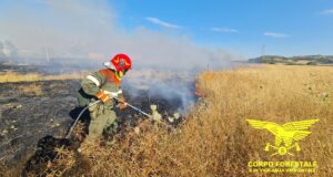 Ancora incendi in Sardegna: a Nulvi necessario intervento di 3 canadair