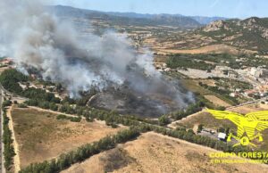 Sardegna, allarme rosso incendi: ieri 30 in un solo giorno