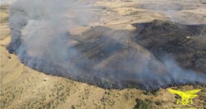 Sardegna in fiamme, 14 incendi in un giorno: paura a Sindia, Sardara e Carbonia