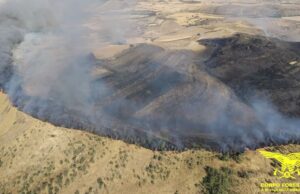 Sardegna in fiamme, 14 incendi in un giorno: paura a Sindia, Sardara e Carbonia