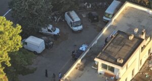 Capannone occupato a Selargius, edifici invasi e animali uccisi: 19 denunce