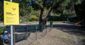 Cagliari, disinfestazione aree cani: chiusura temporanea tra giovedì e venerdì