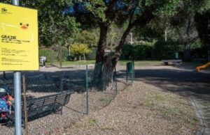 Cagliari, disinfestazione aree cani: chiusura temporanea tra giovedì e venerdì