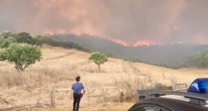 Incendi, giornata infernale in Sardegna: 29 roghi nell’Isola