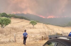 Incendi, giornata infernale in Sardegna: 29 roghi nell’Isola
