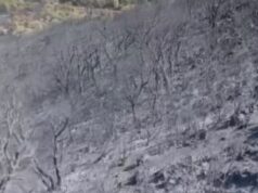 Villacidro in ginocchio dopo il devastante incendio: “Una distesa di cenere”