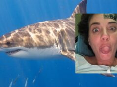 Eleonora Boi rassicura tutti dopo il morso dello squalo: “Su mari esti traitori”